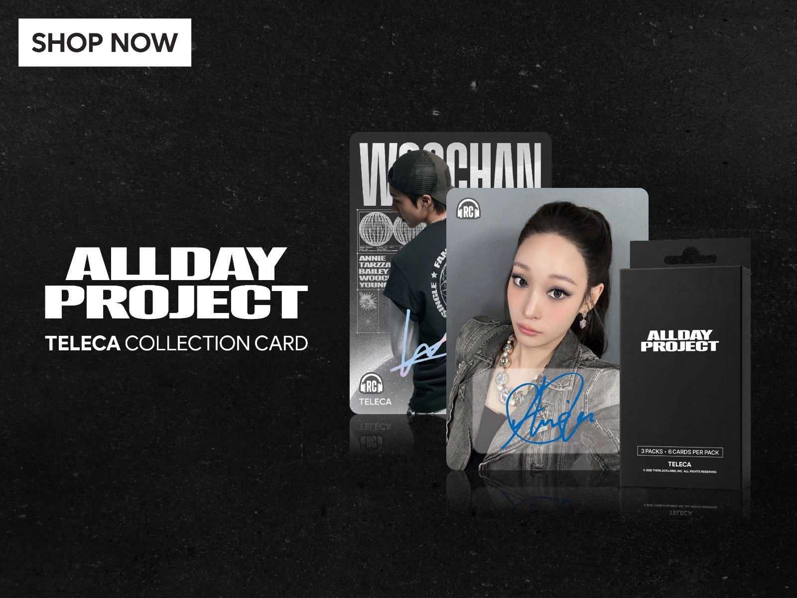 ALLDAY PROJECT